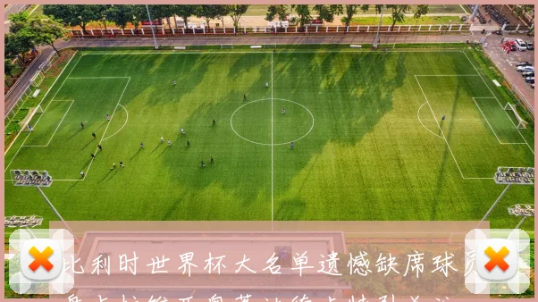 比利时世界杯大名单遗憾缺席球员盘点拉维亚奥蓬达德卡特引关注
