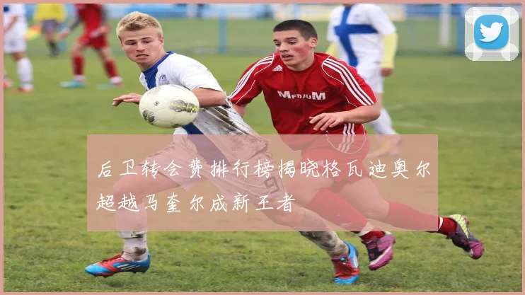 后卫转会费排行榜揭晓格瓦迪奥尔超越马奎尔成新王者