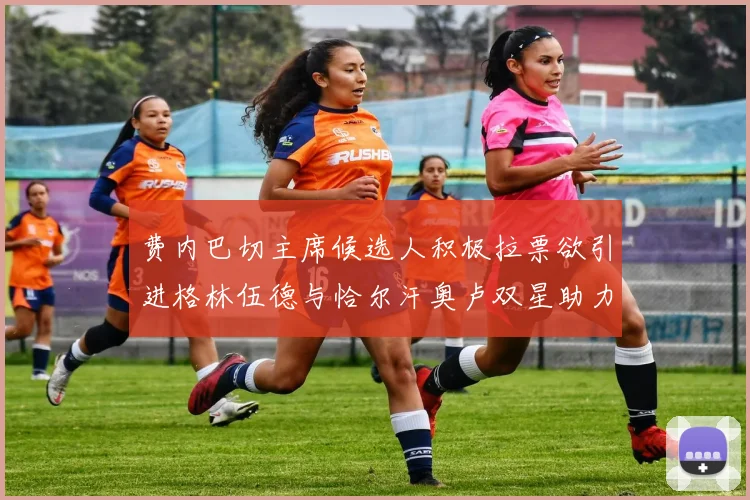 费内巴切主席候选人积极拉票欲引进格林伍德与恰尔汗奥卢双星助力球队